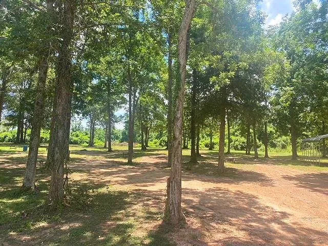 River Island RV Park Picture 1