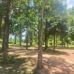 River Island RV Park