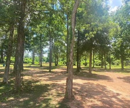 River Island RV Park