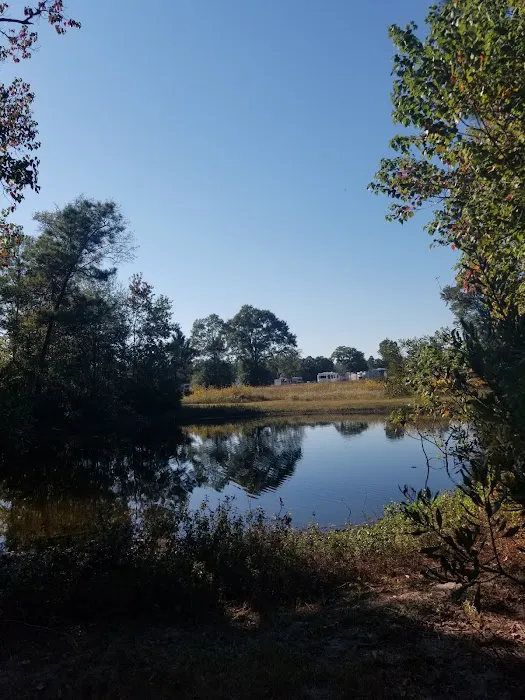 The Good Life RV Park Picture 7