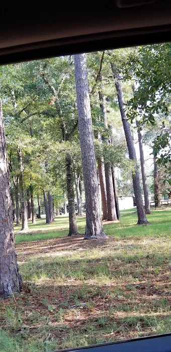 Pine Oaks RV Park Picture 4