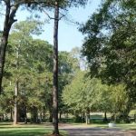 Pine Oaks RV Park