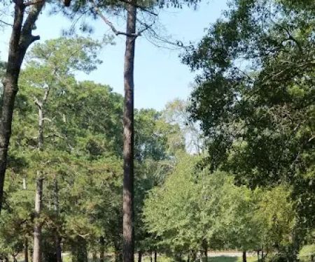 Pine Oaks RV Park