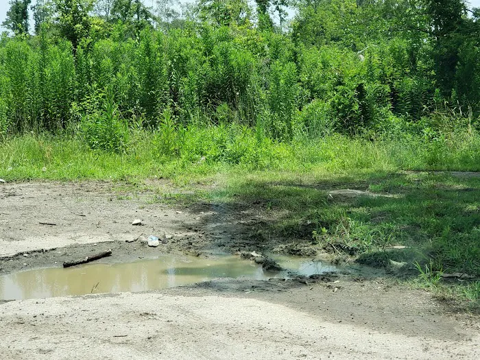 Diboll Picture 8