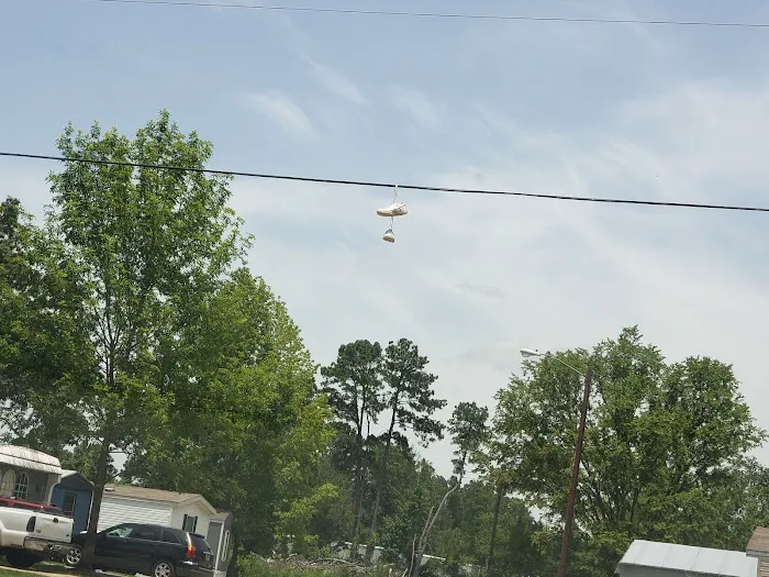 Diboll Picture 10