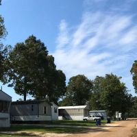 Meadowbrook ico
