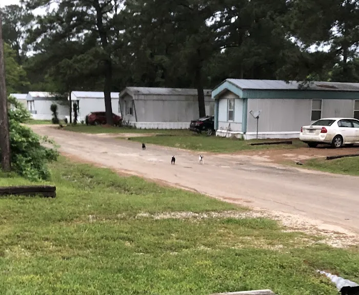 Pine Valley Mobile home Community Picture 6