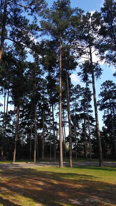 Whispering Pines RV Park & Lodging Picture 7