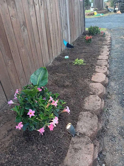 Jim's RV Park Picture 6