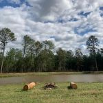 Piney Woods Village RV Park