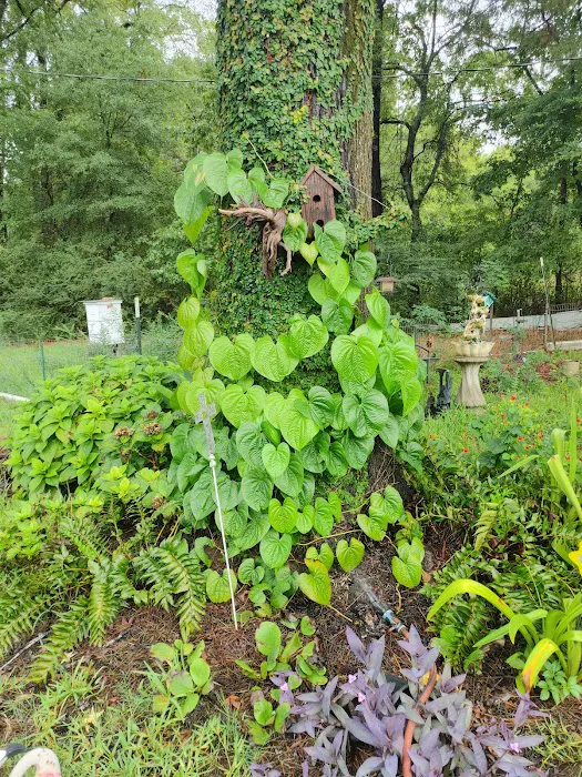 Holiday Springs RV Park Picture 3