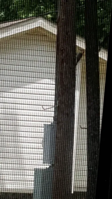 Holiday Springs RV Park Picture 7