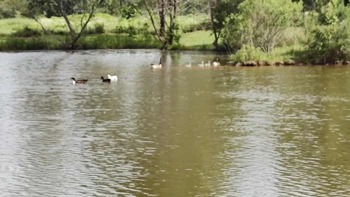 Laguna Vista RV Park Inc. - Campground Site, RV Sites in Marshall TX Picture 7