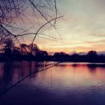 Lakewood Village Mobile Home Park