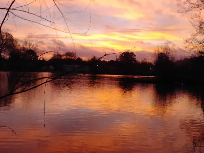 Lakewood Village Mobile Home Park Picture 7