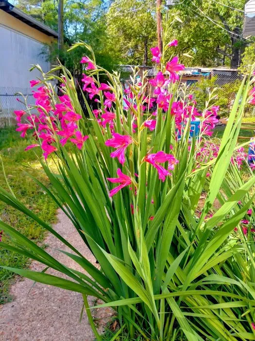 Lakewood Village Mobile Home Park Picture 6