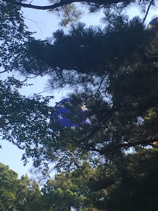 Lin Park Mobile Home & RV Park Picture 1