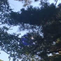 Lin Park Mobile Home & RV Park ico