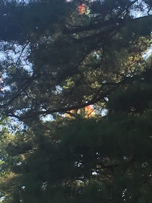 Lin Park Mobile Home & RV Park Picture 3