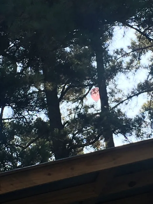 Lin Park Mobile Home & RV Park Picture 4