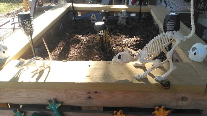 South Bossier Mobile Home Park Picture 8