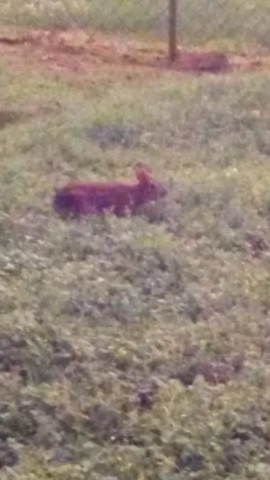 South Bossier Mobile Home Park Picture 9