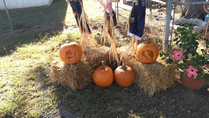 South Bossier Mobile Home Park Picture 2