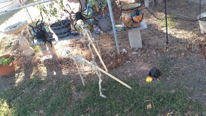 South Bossier Mobile Home Park Picture 4