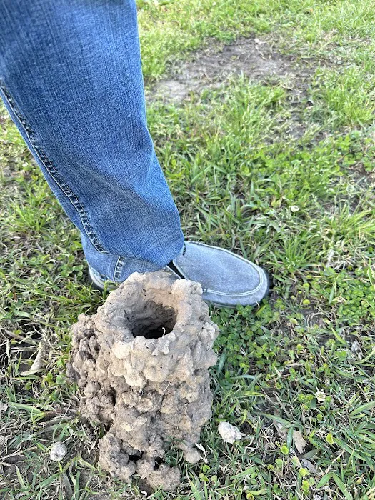 Farmers Branch RV Park Picture 8