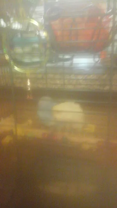 Deer Valley Mobile Home Community Office Picture 1