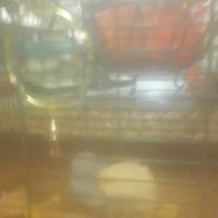 Deer Valley Mobile Home Community Office ico