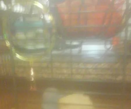 Deer Valley Mobile Home Community Office