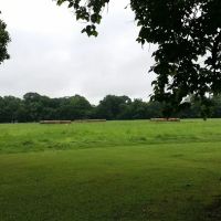 Alexandria RV Park ico