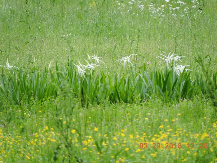 Alexandria RV Park Picture 8