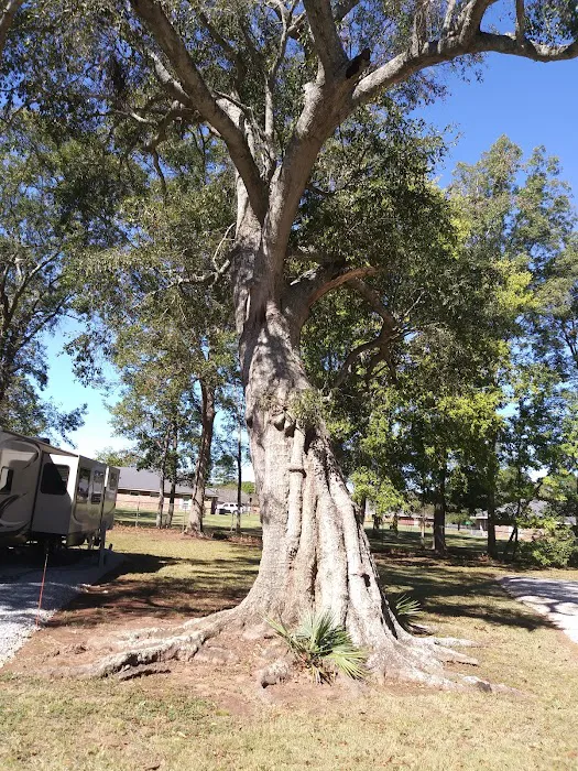 Alexandria RV Park Picture 6