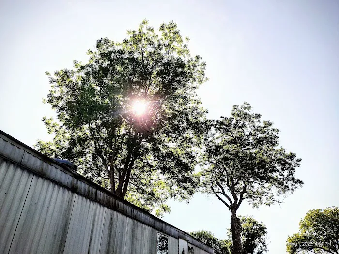 The Oaks Mobile Home & RV Park Picture 2