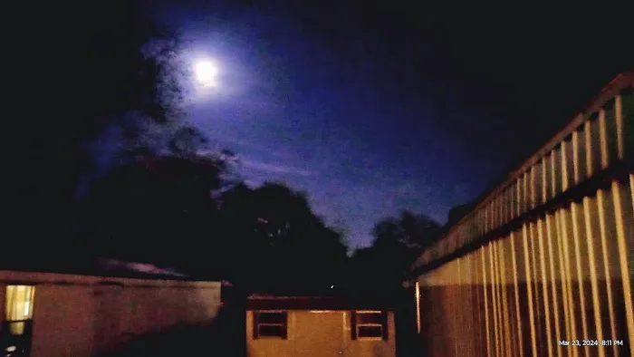 The Oaks Mobile Home & RV Park Picture 6