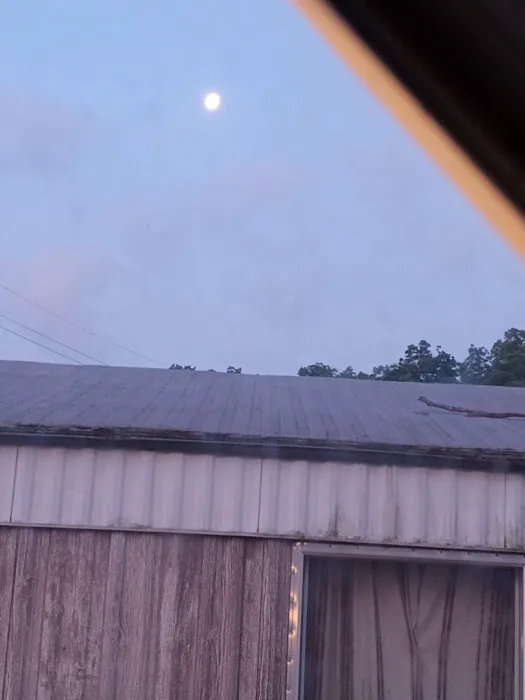 The Oaks Mobile Home & RV Park Picture 10