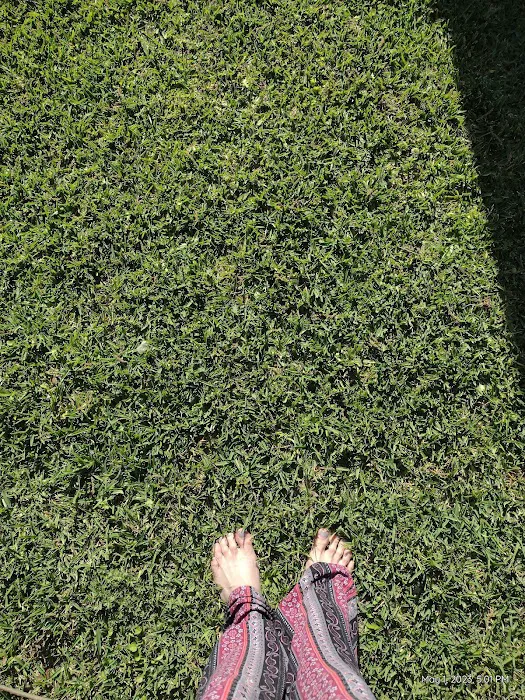 The Oaks Mobile Home & RV Park Picture 8