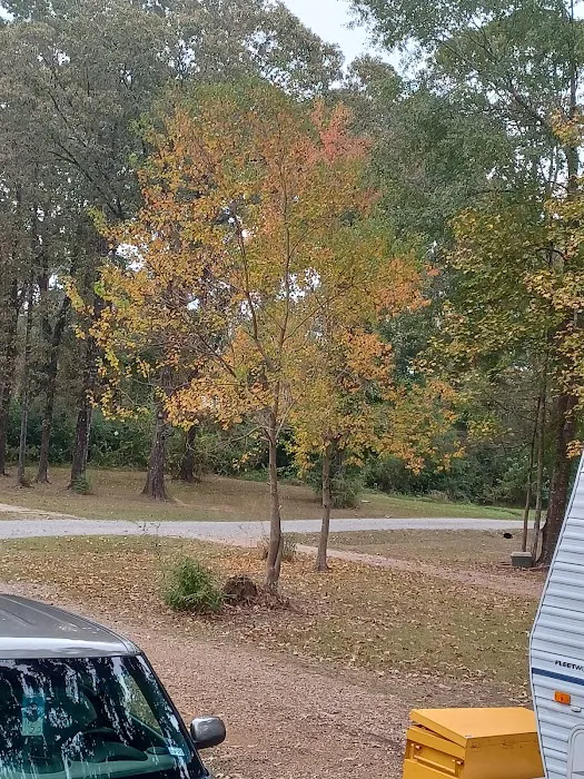 Family and Friends RV Park Picture 7