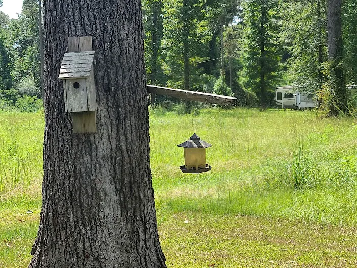 Family and Friends RV Park Picture 6