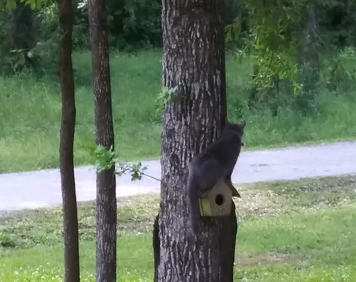 Family and Friends RV Park Picture 8