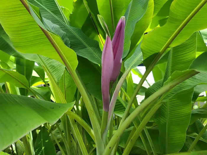 Family and Friends RV Park Picture 4