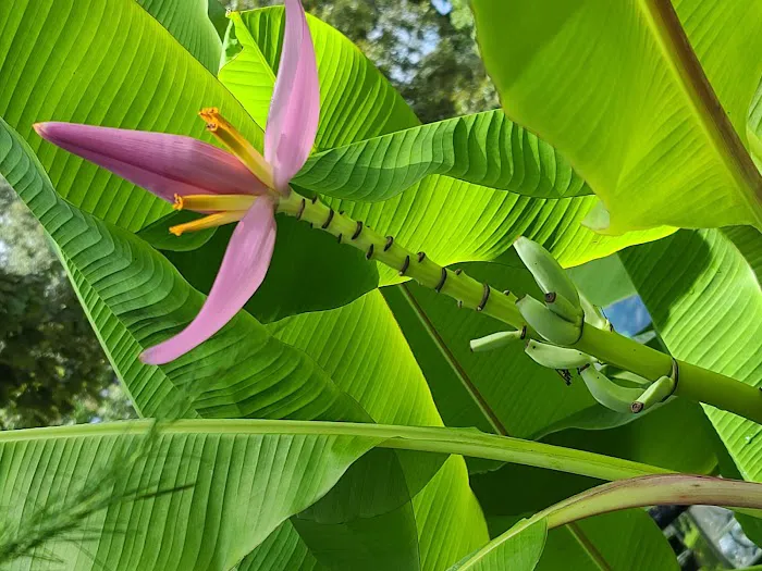 Family and Friends RV Park Picture 10