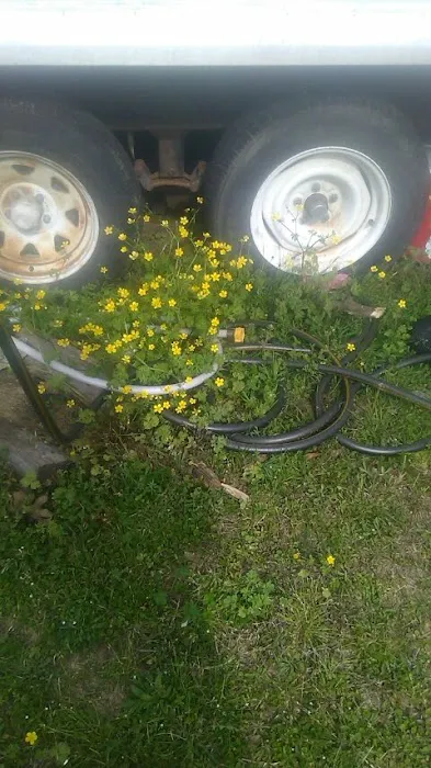 Diamond T RV Park Picture 2