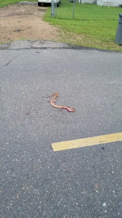 Barron Mobile Home Parks Picture 5