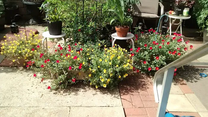 Barron Mobile Home Parks Picture 1