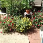 Barron Mobile Home Parks