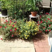 Barron Mobile Home Parks ico