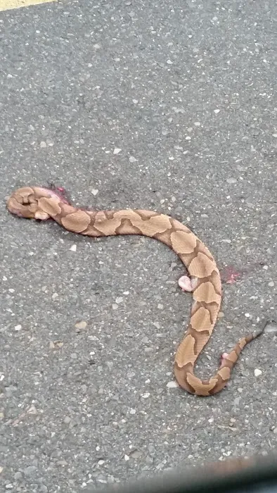 Barron Mobile Home Parks Picture 3